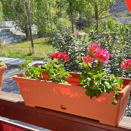 Vila Valencia Azuga Dış mekan fotoğraf